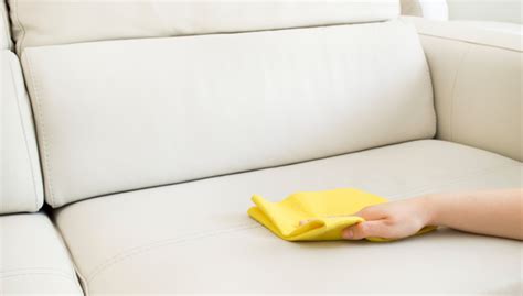Vor allem der bezugstoff muss. Sofa reinigen » Tipps für saubere Polstermöbel | OTTO ...