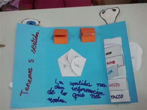 PequeÑos Y A Lo Loco Nuestro Lapbook De Los Sentidos