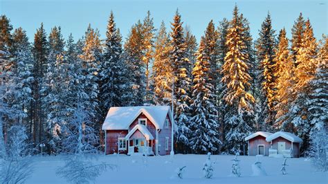 Small Houses In The Snowy Forest Wallpaper Nature Wallpapers 46489