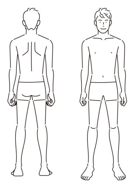 Male Human Body Outline Front And Back