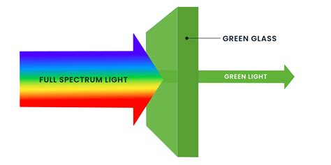 The Meaning of Light and Color
