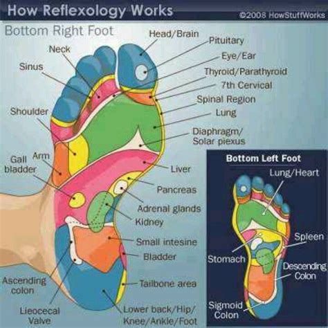 How Reflexology Works Reflexology Foot Reflexology Reflexology Chart