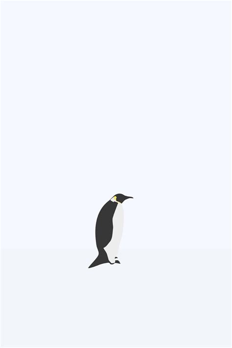37 Penguin Iphone Wallpaper Wallpapersafari