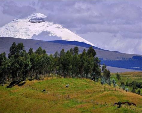 Ecuador is a south american country, has 17.180.000 inhabitants. Interesting Facts About Ecuador - Fun Facts About Ecuador