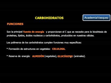 Cual Es La Principal Funcion De Los Carbohidratos Nepora