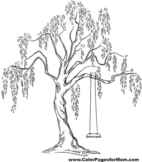 Which of these 18 free coloring pages for adults is your favorite? Tree Coloring Page 9