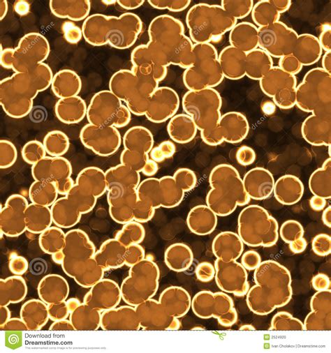 Bacteria Under Microscope Stock Photo Image 2524920