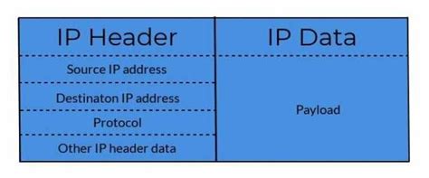 Understanding The Ip Packet Structure A Detailed Diagram