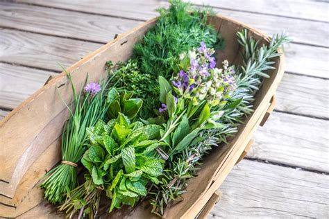 How To Grow And Use Fresh Herbs At Home The Star