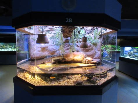 Turtle Tank Zoochat