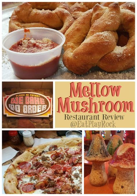 Mellow Mushroom Review Pigeon Forge Tn