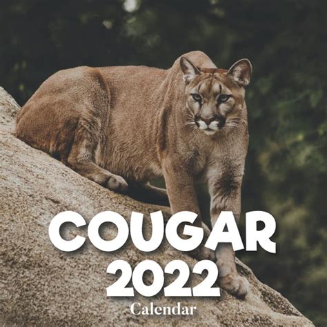 2022 Cougar Calendar A Monthly And Weekly 12 Months Wall Calendar 2022