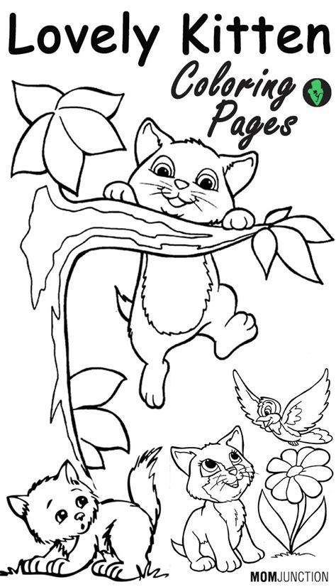 This section has a lot of kitten coloring pages for toddler, kids, children, preschoolers and all students. Top 15 Free Printable Kitten Coloring Pages Online | Cat ...