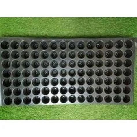 Plastic Nursery Seedling Tray At Rs 5piece In Jalgaon Id 20786817988