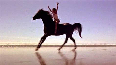 Australian daybill 13 x 30 original movie poster ex c8 $95.00 sold special order. The Black Stallion - NYT Watching