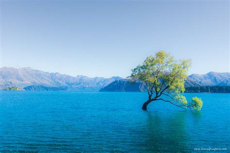 An Epic New Zealand Road Trip Itinerary Tips And