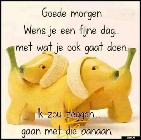 Goede Morgen Goedemorgen Goedemorgen Wensen Grappig Plaatje Citaten