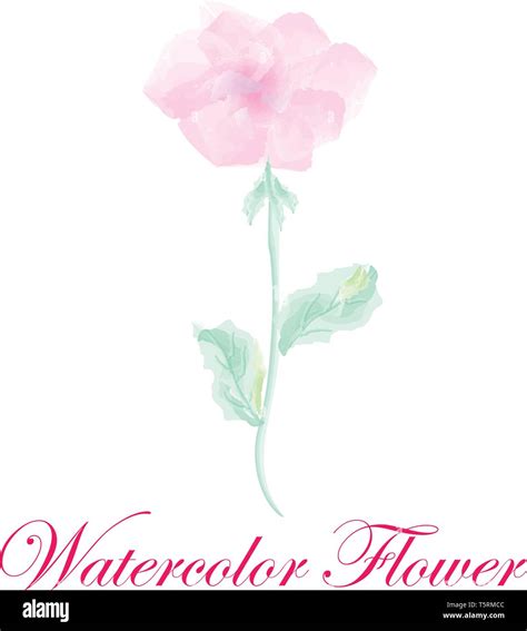 Vector Watercolor Flower Stock Vector Image And Art Alamy