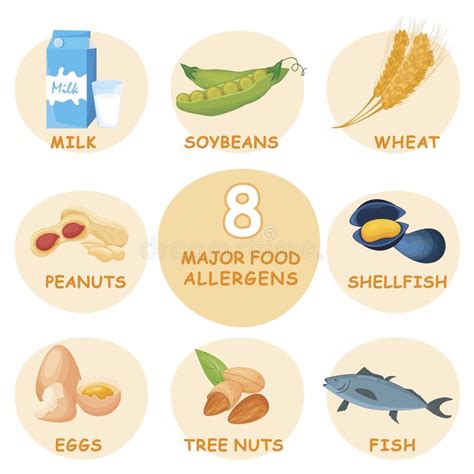 Eight Major Food Allergens Allergy Set Vector Illustration Stock