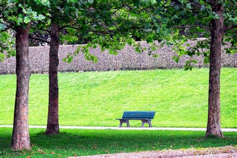 Park Bench Stock Photo Image Of Chair Forest Fall 46178762