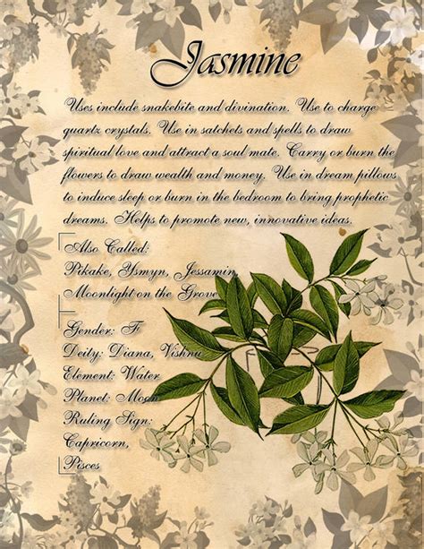 Book Of Shadows Herb Grimoire Jasmine By Conigma On Deviantart