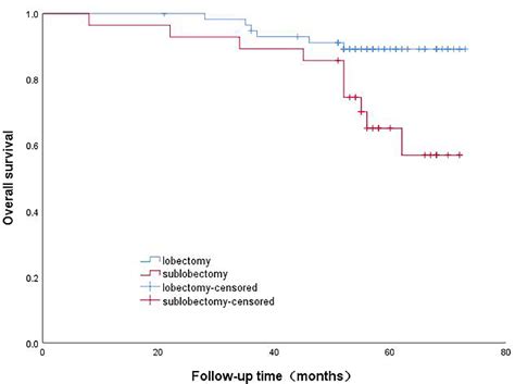 The Prognostic Influence Of Histological Subtypes Of Micropapillary Tumors On Patients With Lung