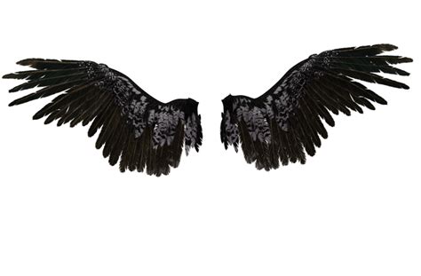 Black Angel Wings Png Image Png Arts