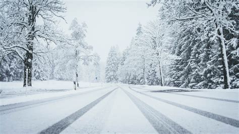 Wide Shot Of A Road Fully Covered By Snow With Pine Trees On Both Sides