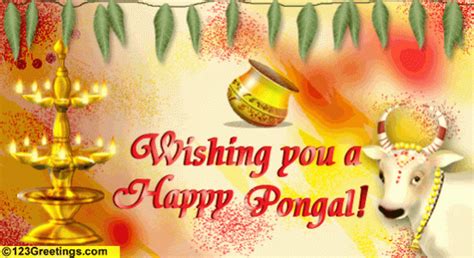 Kunal patil/hindustan times via getty images). Pongal 2018: Here are quotes, SMSes, picture greetings and ...