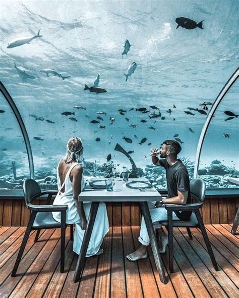 Underwater Hotel In Maldives 20 Amazing Hotels In Striking Locations