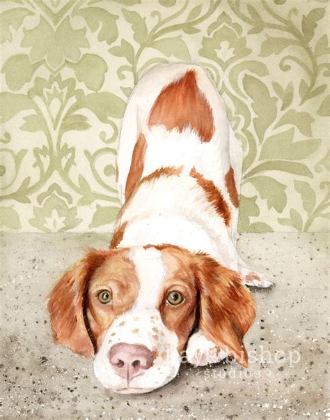 Brittany Spaniel Watercolor Painting Brittany Spaniel Etsy