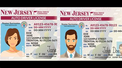New Jersey Kid Driver License For Children Under 12 Cute Pooch Lupon