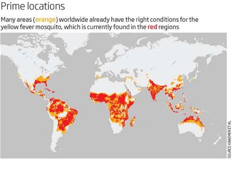 The New Regions At Risk From Mosquitoes Carrying Diseases New Scientist
