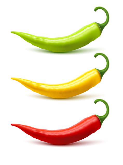 Chili Pepper Pods Set Realistic Shadow 477180 Vector Art At Vecteezy
