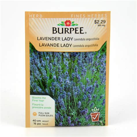 Lavender Lady Seeds Burpee Arts Nursery Ltd