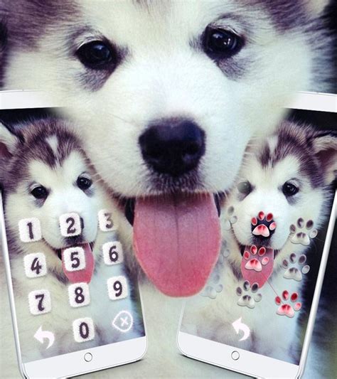 .anjing mudah cara menggambar anjing yang galak tutorial gambar anjing gambar keren untuk wa gambar keren hd gambar keren ff gambar keren anime gambar keren kartun gambar. Menakjubkan 21+ Gambar Wallpaper Anjing Imut - Joen Wallpaper