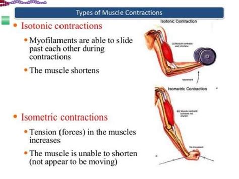 Lec 5 Charecteristic Of Whole Muscle Contraction