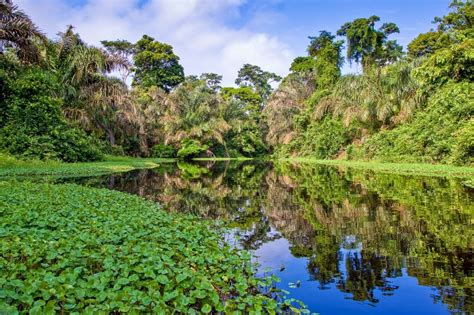 Visit the Amazon Rain Forest: Private Travel to Brazil's Amazon