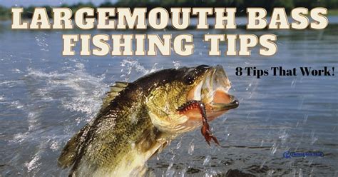 Largemouth Bass Fishing Tips – 8 Tips That Work!