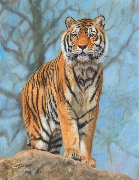 The Dartmoor Tiger Painting By David Stribbling Fine Art America
