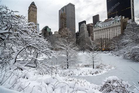 Central Park New York City Winter Stock Photo By ©johnanderson 23545785