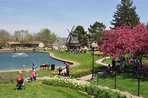 Pella, iowa, is famous across the country for its annual spring festival with hundreds of thousands of blooming tulips. Pella IA during the Tulip Festival, 2011