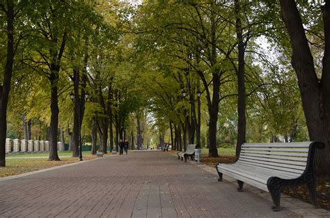 В Киеве 40 парков и скверов безопасны для посещения КомментарииКиев