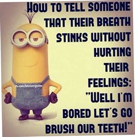 37 Funny Quotes Laughing So Hard – TailPic