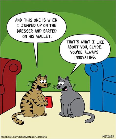 101 Best Feline Funnies Images On Pinterest Cats Humor