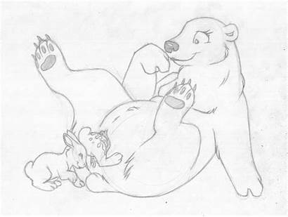 Bear Female Feral E621 Pussy Polar Sketch