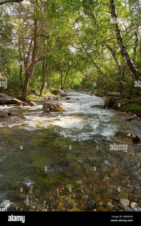 Altai Landscape River Ilgumen Stock Photo Alamy