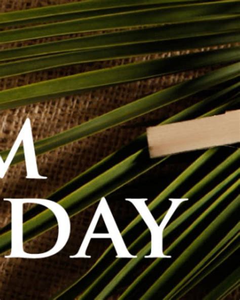 All About Palm Sunday Letterpile