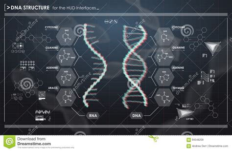 Hud Infographic Elements With Dna Structure Futuristic User Interface