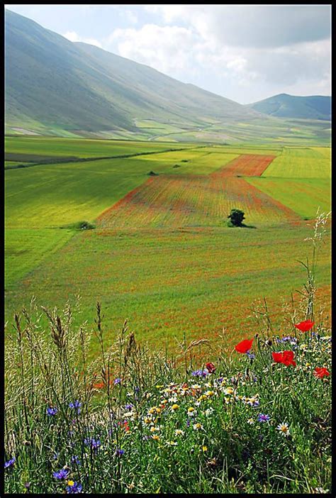 61 Best Images About Castelluccio Umbria Italy On Pinterest Norcia
